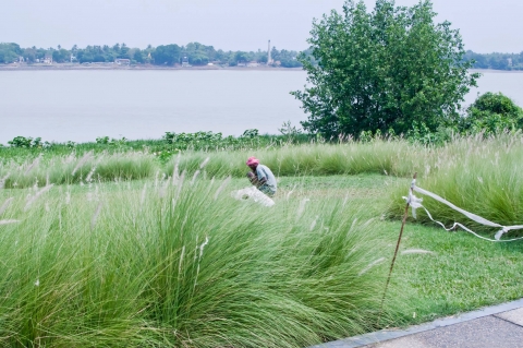 Kushal Mazumdar Photography	Ku