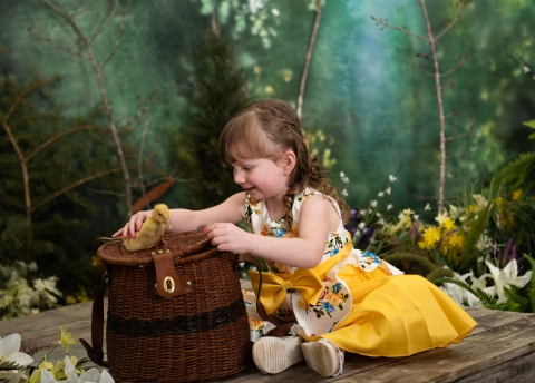 Dreams Capture Photography