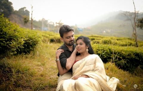 Picxlart Photography & Events